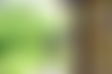 STJ publica decisão sobre União tributar incentivos de ICMS