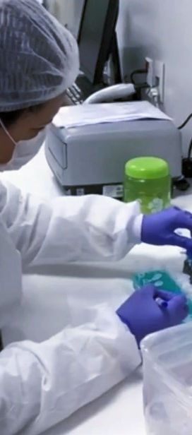 coronavirus-goias_edited.jpg
