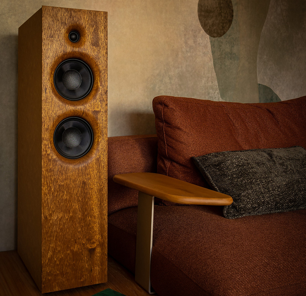 Magna Designed Floorstanding 26.jpg.jpg