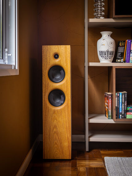 DSF26 brings luxury design and immersive performance to high-end homes. New ebony front plus wood, lacquer, and Italian leather finishes.