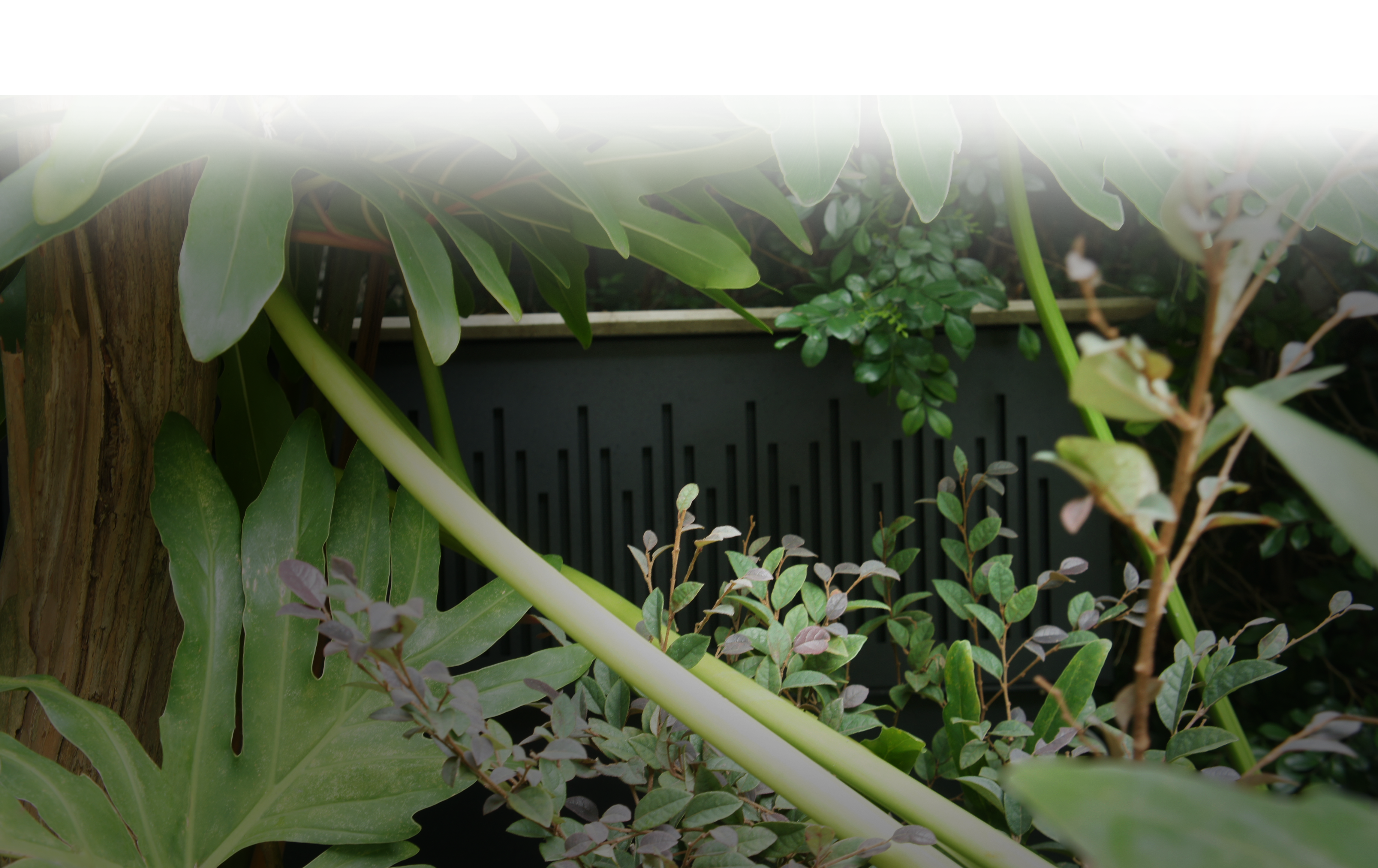 Polly Tank Sub -Polly Tank Sub -Speaker - Outdoor - Subwoofer - Magna Audio