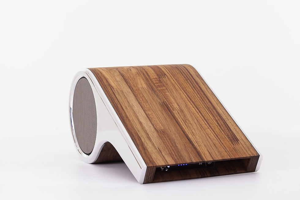 MG-APITO-00-ARGT-000-066 (1).jpg