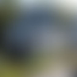 Aerial view of raised beach house with dark siding and white trim