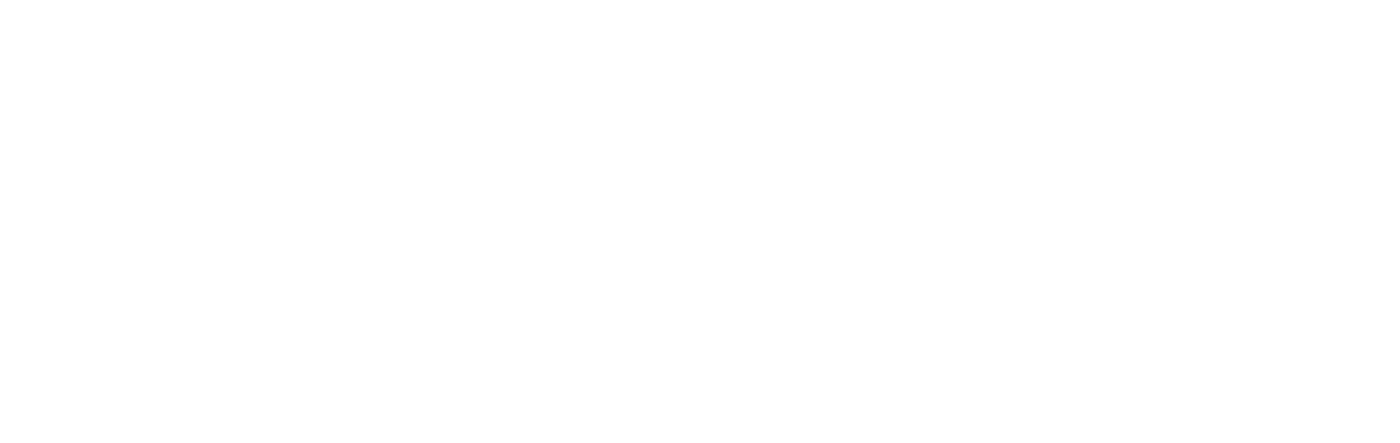 Logo Ellipse blanc 1