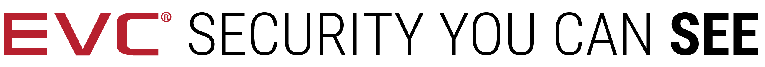 EVC-Security-You-Can-See.png