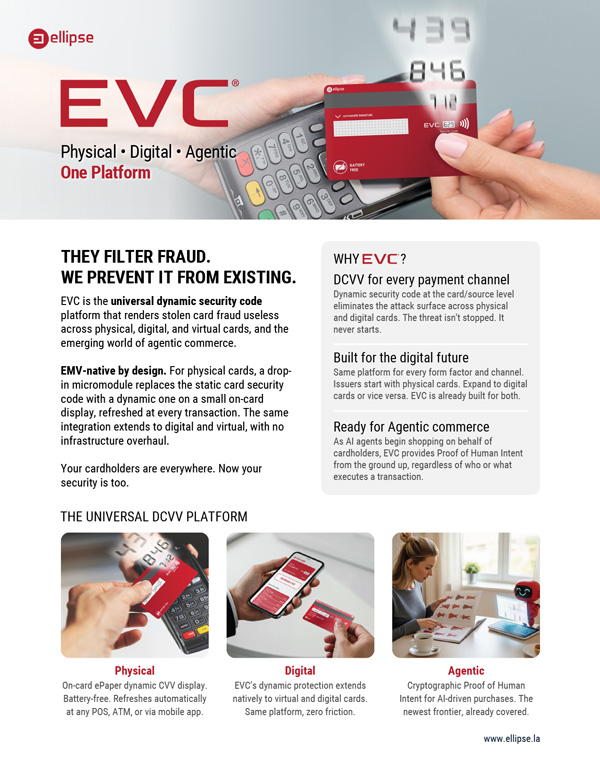 FIS---One-Pager-1.jpg