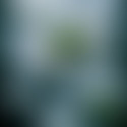 近日感想|能量。宗教迷思。探窺他人隱私。不想面對自己的問題。