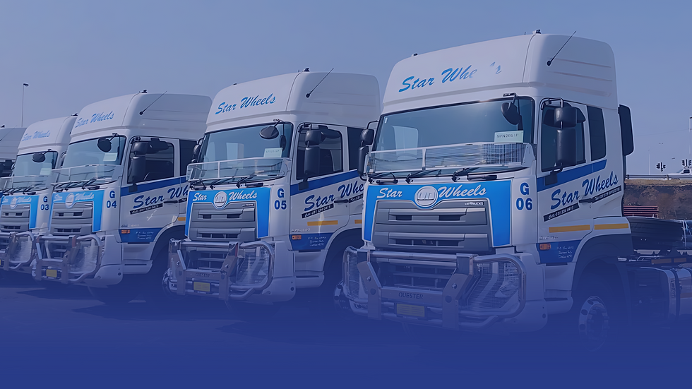 Copy of SW website (1).png