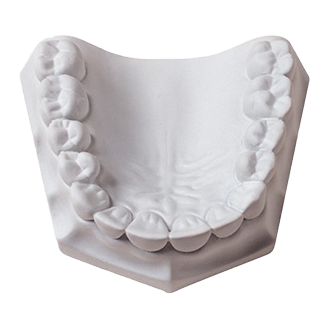 Whip-Mix Laboratory Plaster