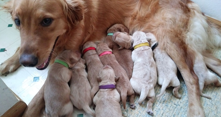 Maggie, such a great momma!