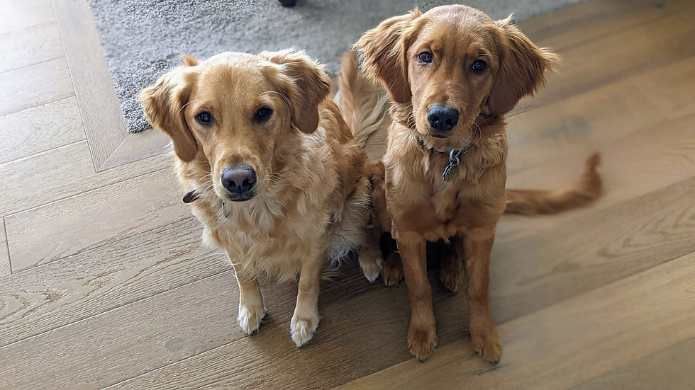 olive and lona