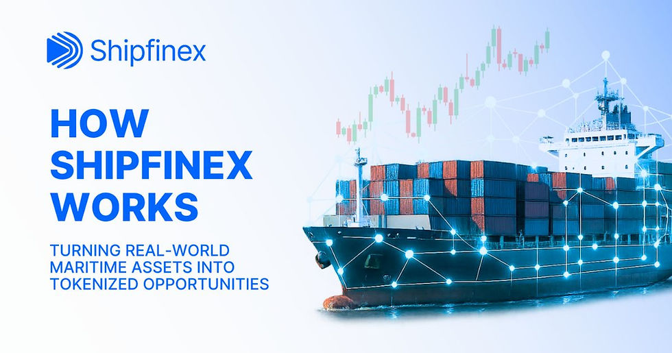How shipfinex works
