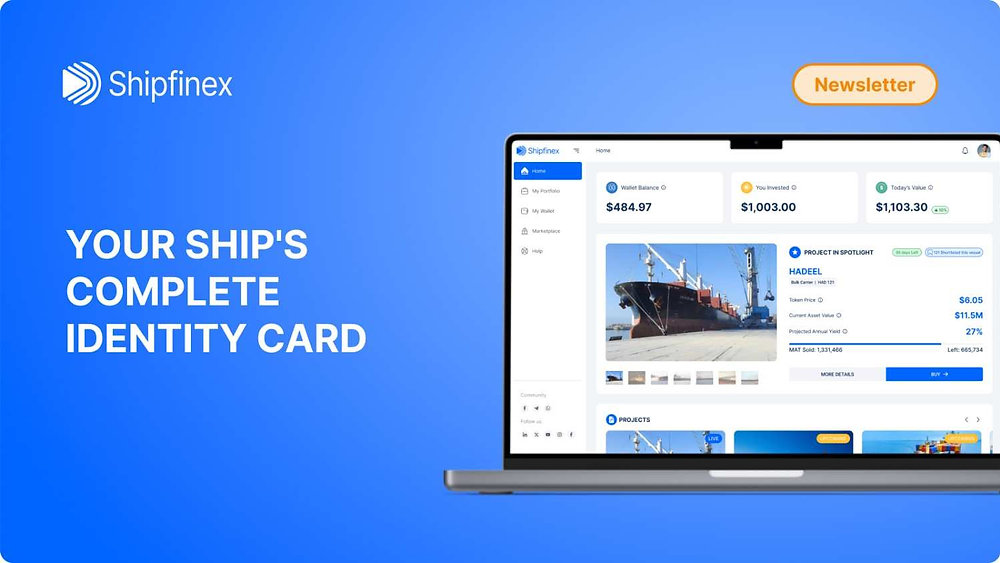 The "Details" Tab – Your Ship's Identity