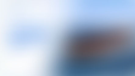 Maritime Fleet Management: The Complete Guide for Shipowners and Investors (2026)