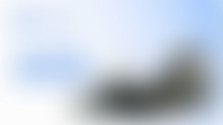 What Defines a World-Class Ship Manager?