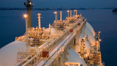 Shell International Trading and Shipping (UK/Netherlands) — roughly 85 vessels