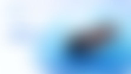 Types of Marine Insurance: Protecting Ship Owners From Piracy, Damage, and Total Loss