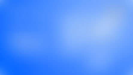 The Shipfinex Community: What Your Answers Tell Us