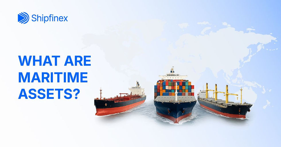What are Maritime Assets?