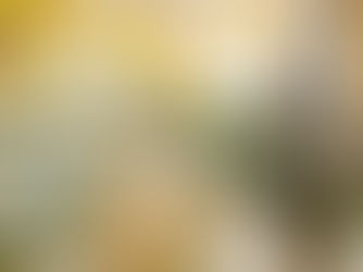 PRESS RELEASE: BSB Leasing Launches Redesigned Website & Comprehensive Broker Support Ecosystem