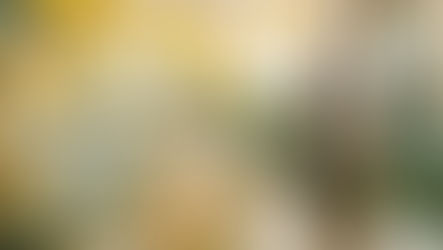 PRESS RELEASE: BSB Leasing Launches Redesigned Website & Comprehensive Broker Support Ecosystem