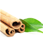 Cinnamon Leaf