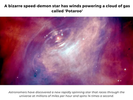 Pulsar Nebula 'Potoroo', A Celestial Marvel Unveiled by Astronomers.