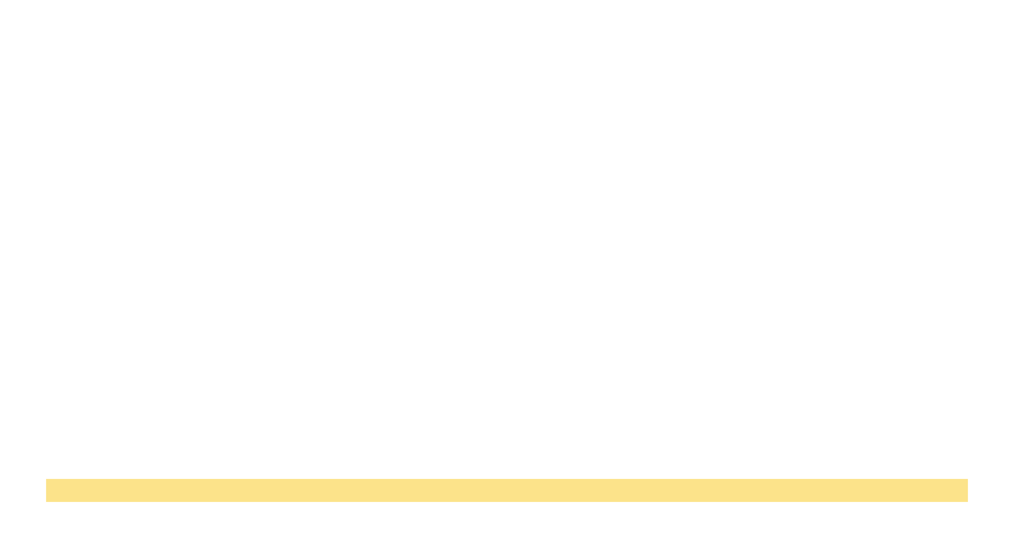 Stunest - Color logo - no background.png