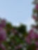 IMG_0918.jpeg