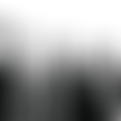 Is Race Based on Physical Characteristics or Currency?