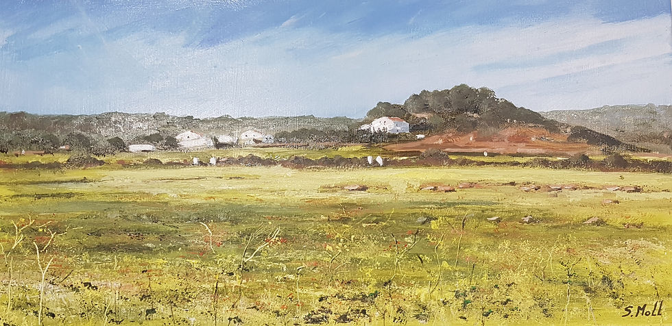 Anant cap a Fornells