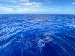 sea.jpeg