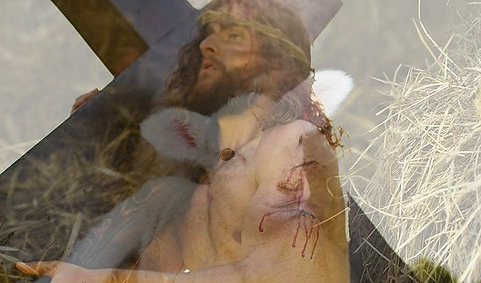 lamb Son_edited.png
