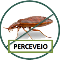 capapercevejo.png