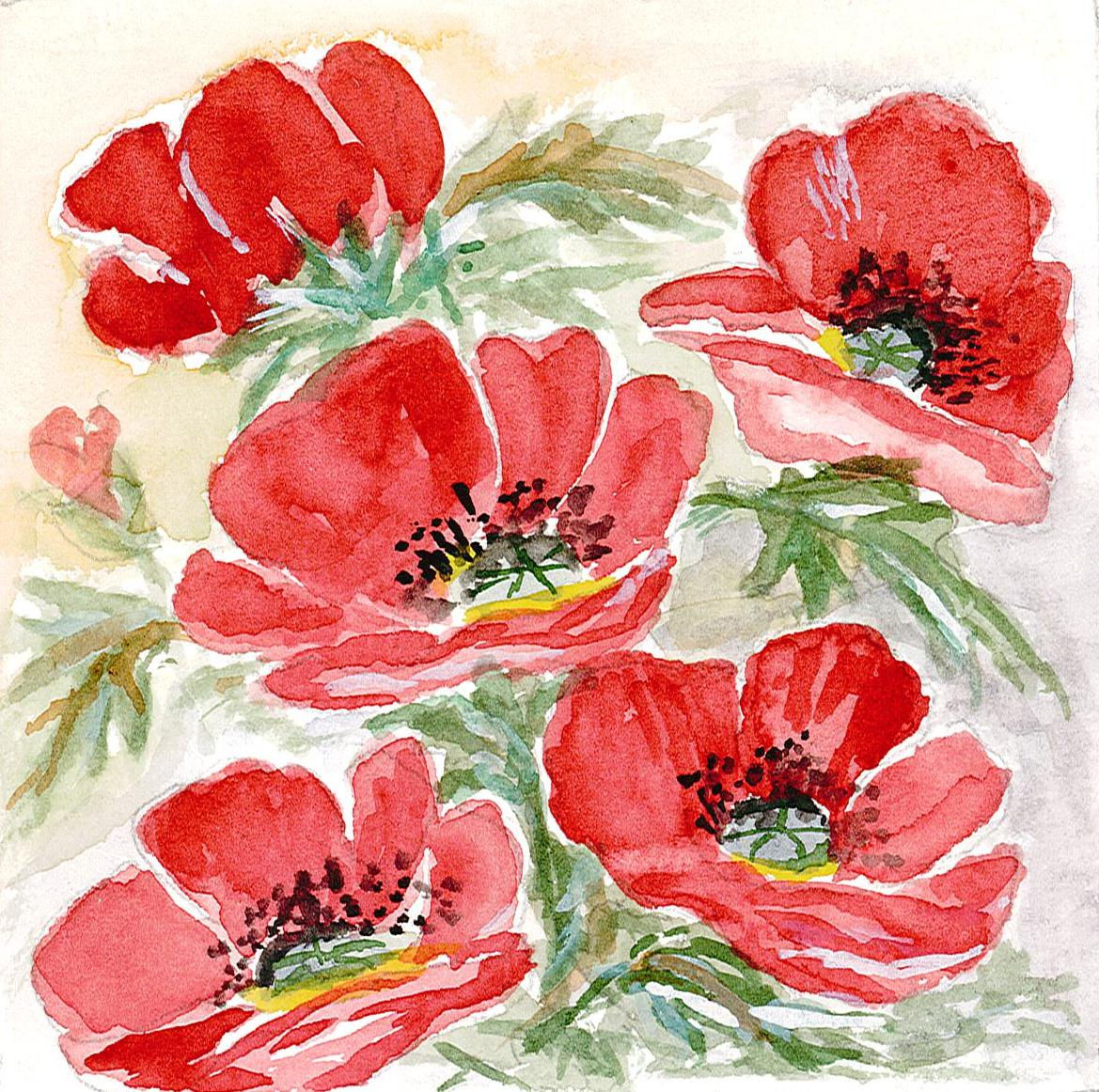 poppies