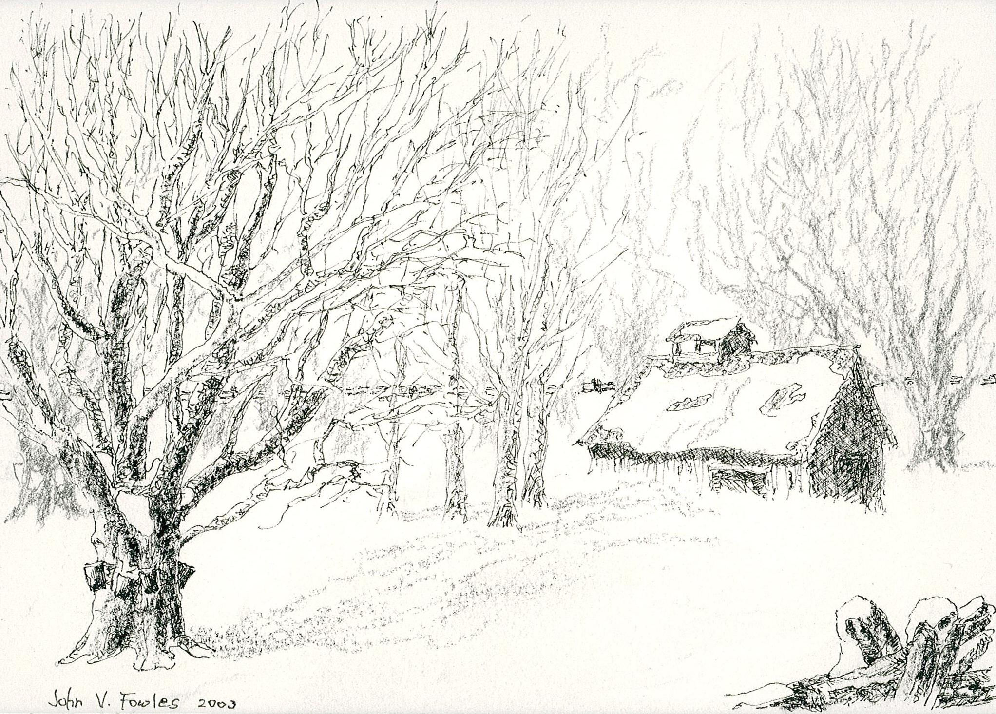 Vieille Cabane a Sucre | Ormandaki Eski Kulübe