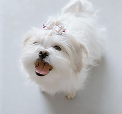 Design sem nome (7).jpg