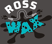 Ross n Wax Mobile Car Valeter South West Cornwall St Austell