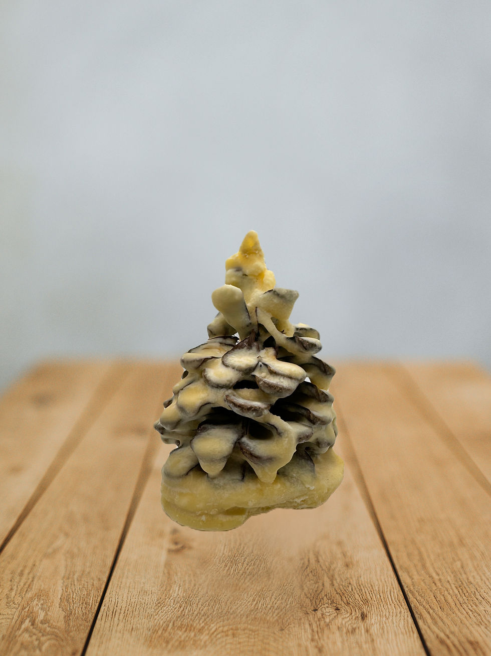 Soy Wax Pine Cone Firelighter Cinnamon Bun