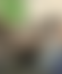 Employability Week March 2026 