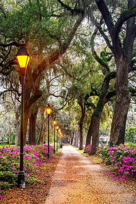 AdobeStock_642138461 copy.jpg