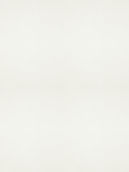 shutterstock_2477715585-smaller copy2-progressive.jpg