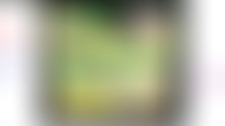 Припарковаться в Испании и не умереть