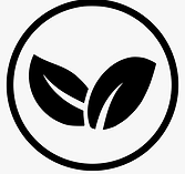 Peaaceful Enviroment.png
