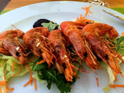 Gambas
