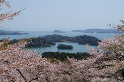 13528386_527468590773570_516528755571035