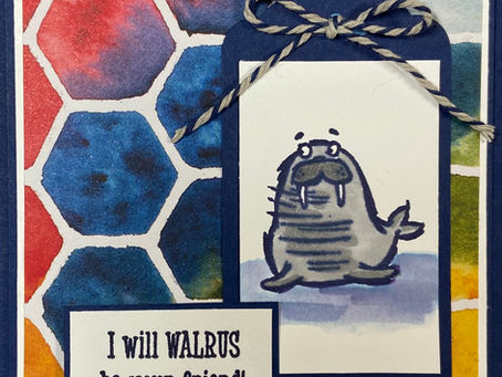 We'll Walrus be Friends