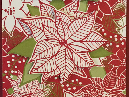 Poinsettia Under the Mistletoe
