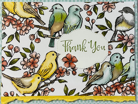 Bird Ballard Thank You Card