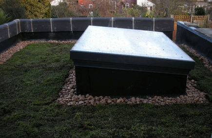 Green roof installation video
